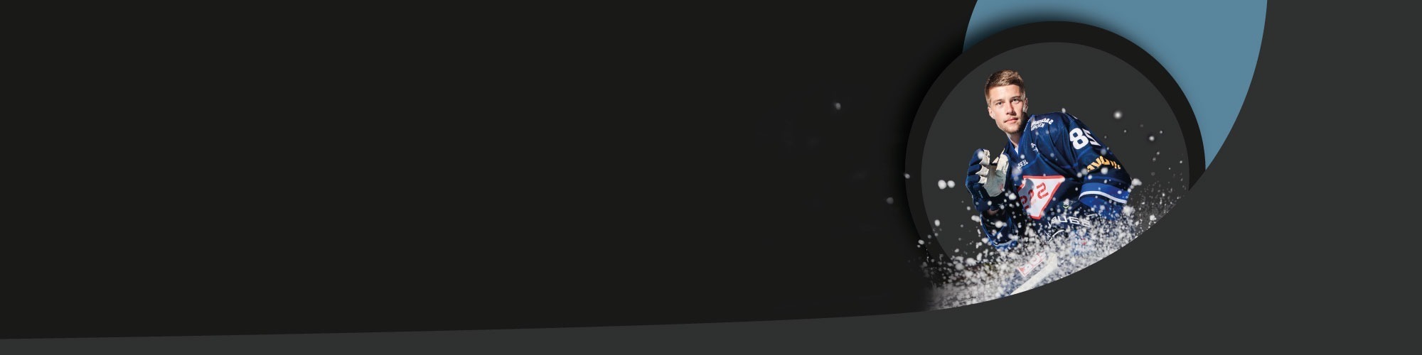 Footer_JobBully_Eislöwen